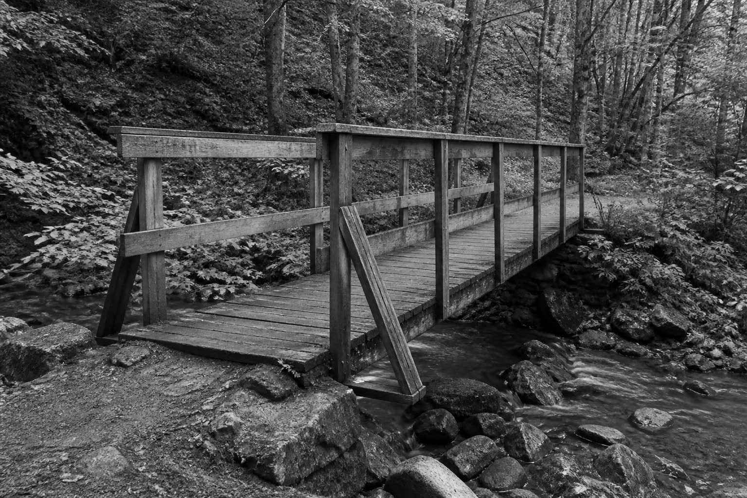 Black-and-white wooden footbridge over a rocky stream in woods