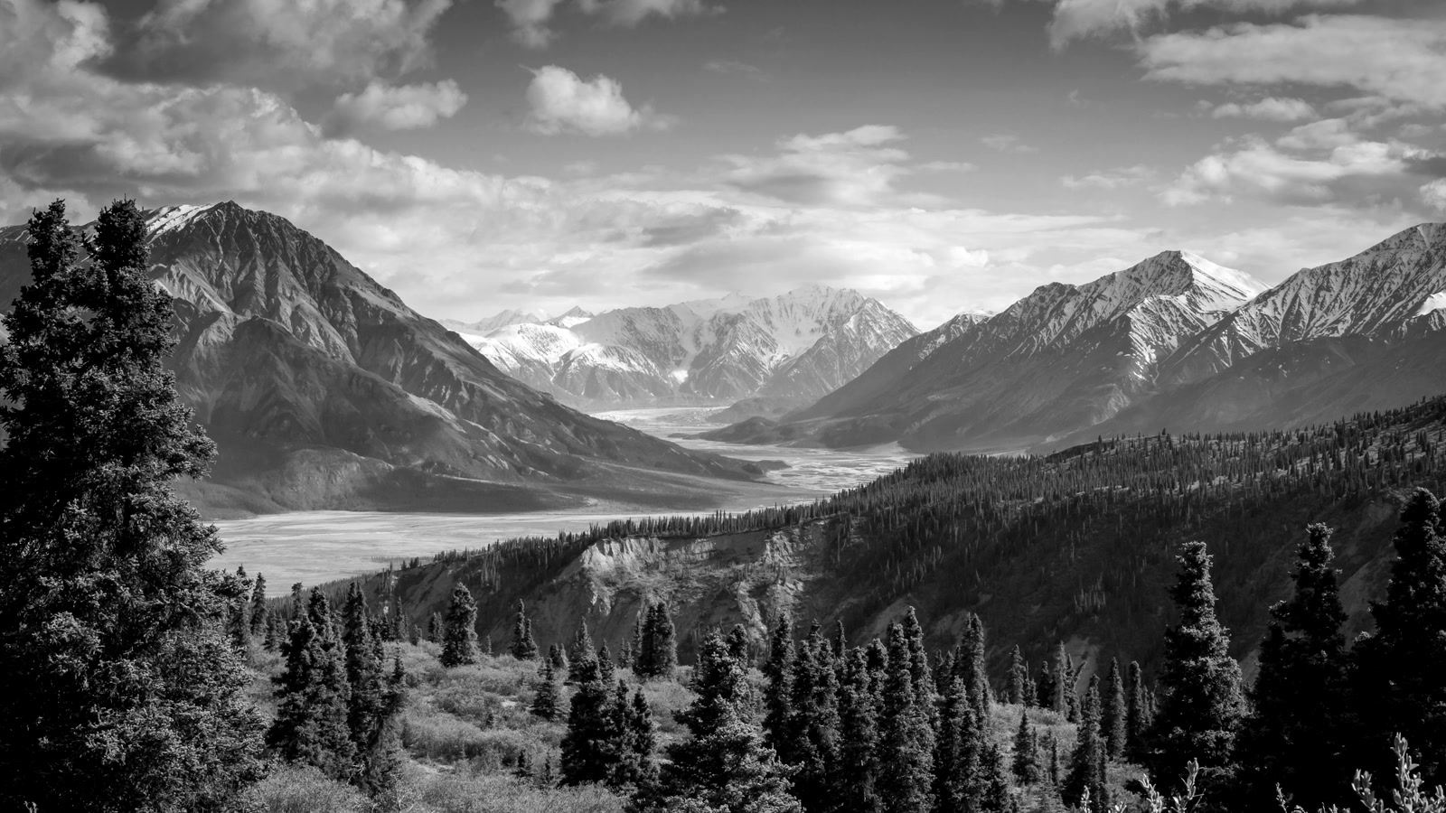 Black-and-white forested hillside overlooking a glacial mountain valley with snow-capped peaks