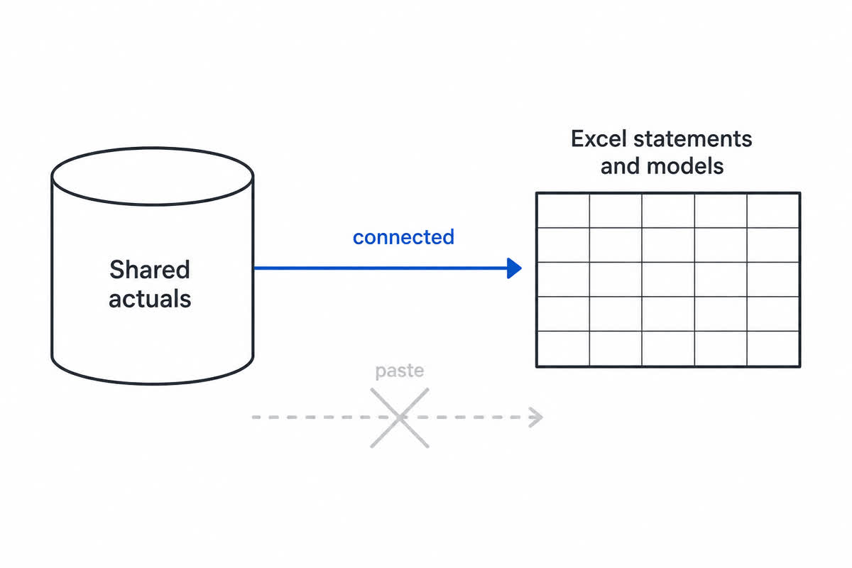shared actuals connected to Excel, paste crossed out