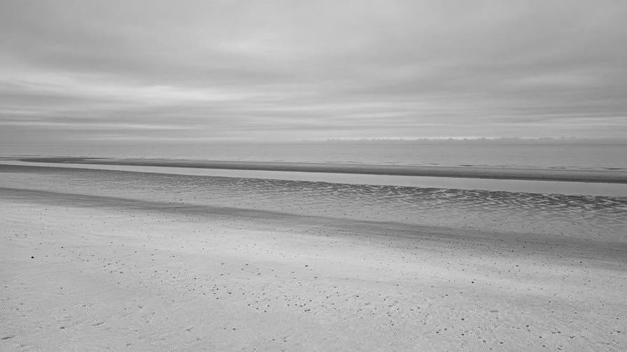 Black-and-white tidal flats with two waterlines under an overcast sky