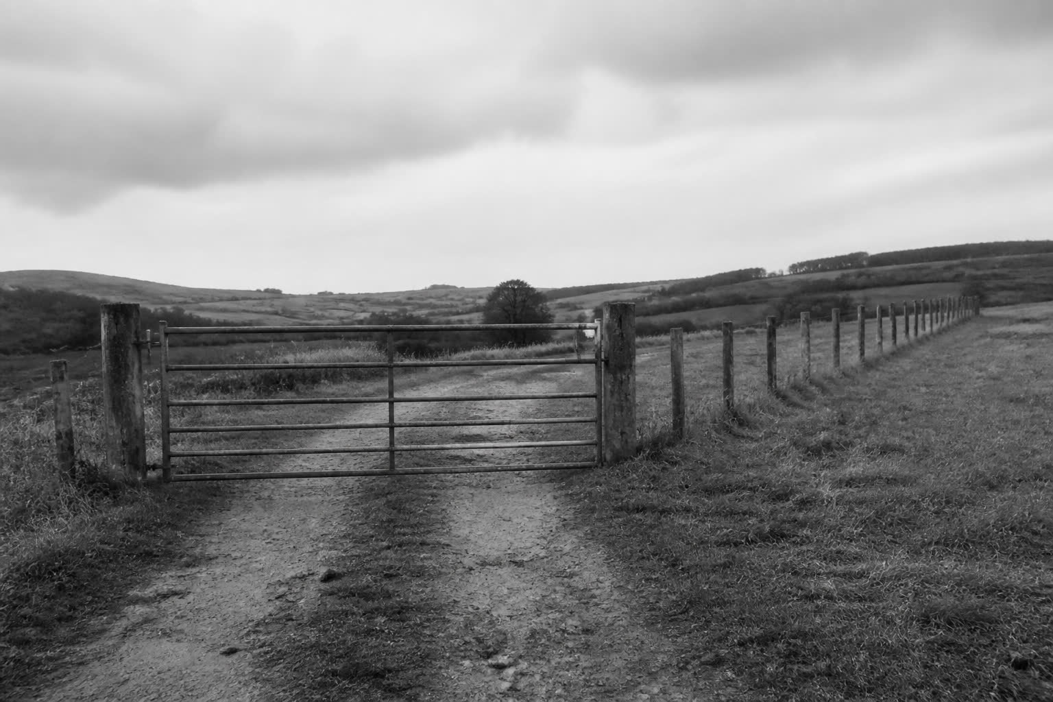 Black-and-white closed farm gate on a dirt lane into hills