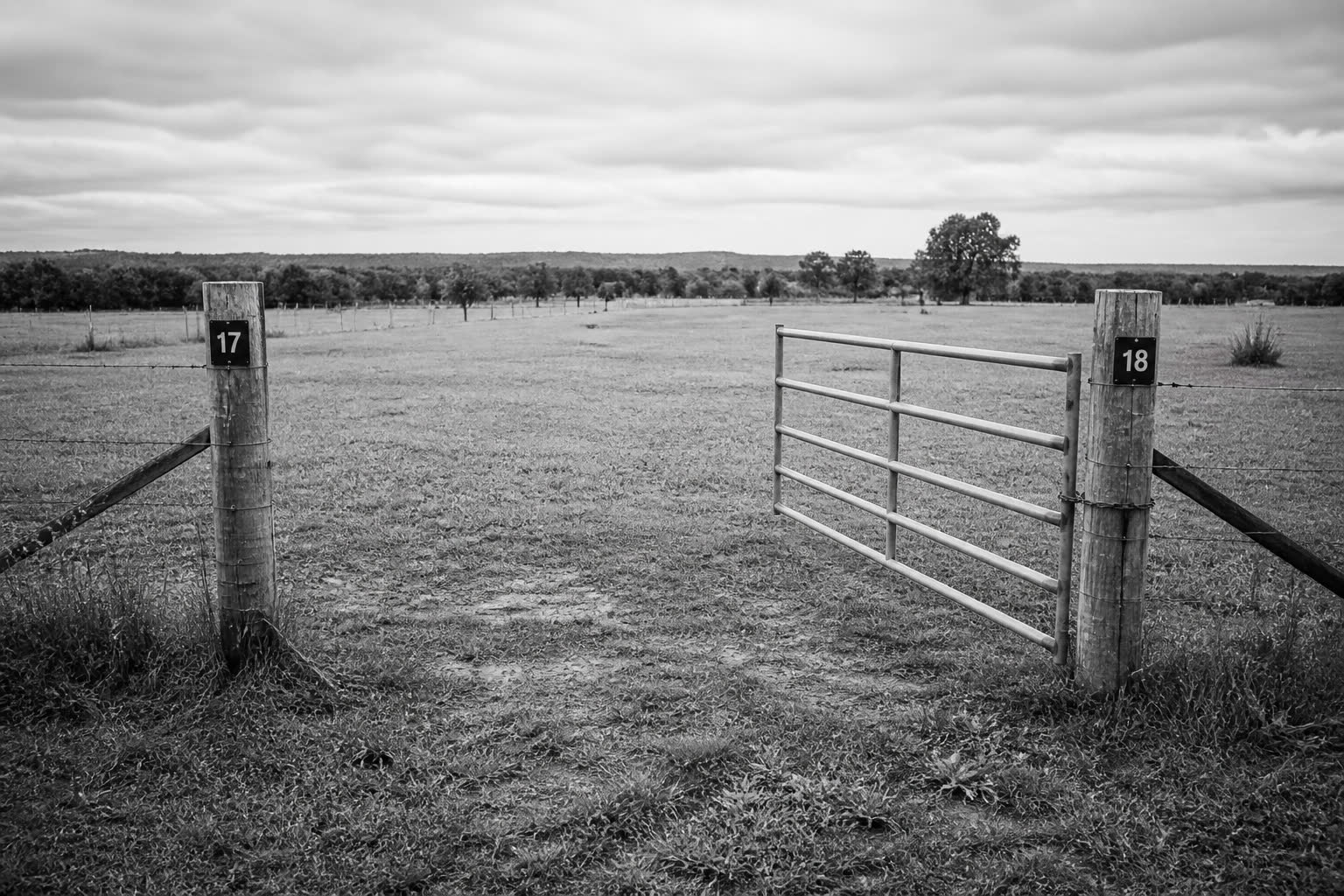Black-and-white open pasture gate between two wooden posts