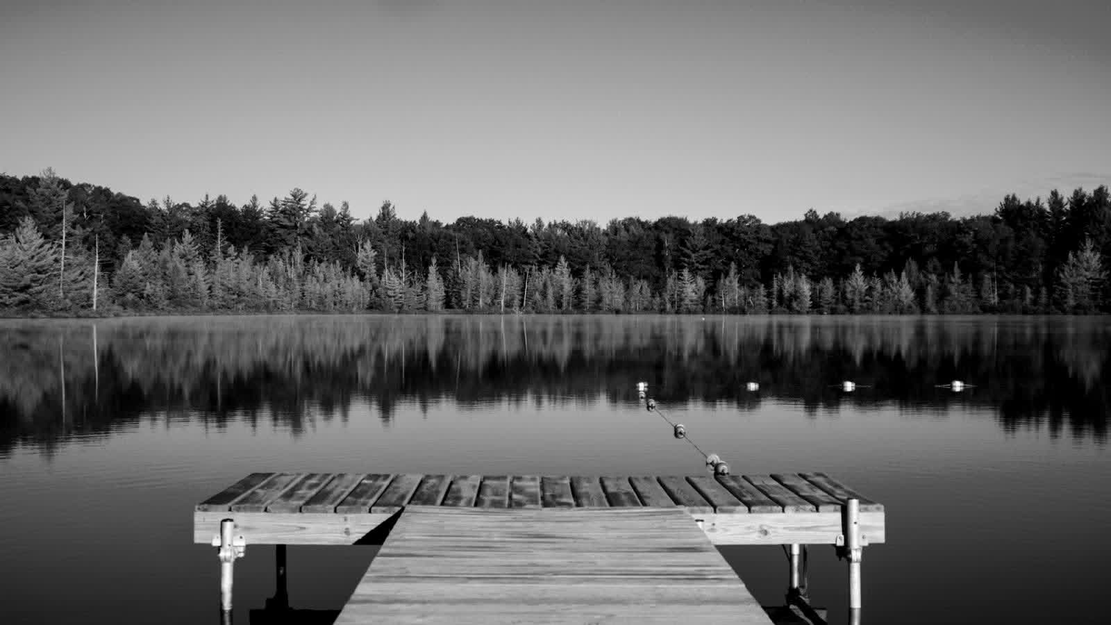Black-and-white wooden dock extending into a calm lake with a mirrored forest treeline